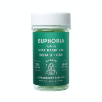 Euphoria Hybrid Gummies – Strawberry Kiwi OG